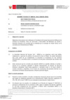 Vista preliminar de documento Informe Técnico 0541-2021-SERVIR-GPGSC