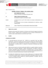 Vista preliminar de documento Informe Técnico 0542-2021-SERVIR-GPGSC