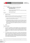 Vista preliminar de documento Informe Técnico 0369-2021-SERVIR-GPGSC