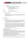 Vista preliminar de documento Informe Técnico 0333-2021-SERVIR-GPGSC