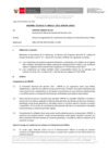 Vista preliminar de documento Informe Técnico 0262-2021-SERVIR-GPGSC