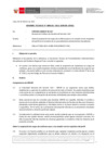 Vista preliminar de documento Informe Técnico 0245-2021-SERVIR-GPGSC