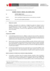 Vista preliminar de documento Informe Técnico 0246-2021-SERVIR-GPGSC