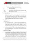 Vista preliminar de documento Informe Técnico 0243-2021-SERVIR-GPGSC