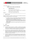Vista preliminar de documento Informe Técnico 0241-2021-SERVIR-GPGSC