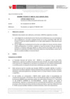 Vista preliminar de documento Informe Técnico 0226-2021-SERVIR-GPGSC