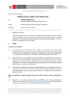 Vista preliminar de documento Informe Técnico 0215-2021-SERVIR-GPGSC
