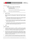 Vista preliminar de documento Informe Técnico 0411-2021-SERVIR-GPGSC