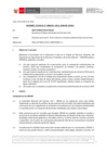 Vista preliminar de documento Informe Técnico 0391-2021-SERVIR-GPGSC