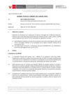 Vista preliminar de documento Informe Técnico 0380-2021-SERVIR-GPGSC