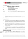Vista preliminar de documento Informe Técnico 0487-2021-SERVIR-GPGSC