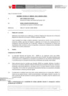 Vista preliminar de documento Informe Técnico 0443-2021-SERVIR-GPGSC