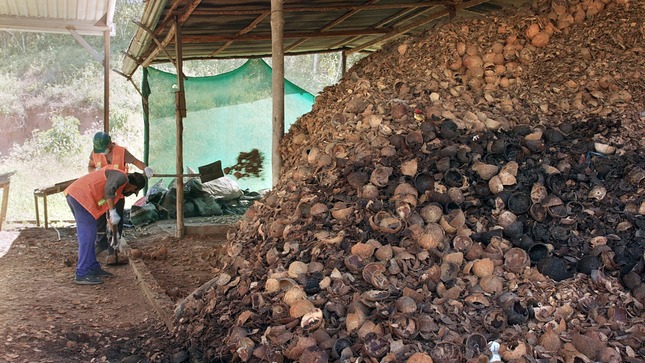 Biomasas recolectadas para la elaboración de Ecocarbón