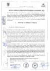 Vista preliminar de documento IV Consulta Pública de Seguridad Ciudadana