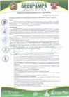 Vista preliminar de documento RESOLUCION DE GERENCIA MUNICIPAL