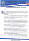 Vista preliminar de documento RESOLUCION DE GERENCIA MUNI 55-2023