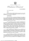 Vista preliminar de documento RD 004