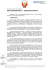 Vista preliminar de documento RD Nº D000004-2024-DE