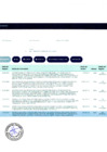 Vista preliminar de documento Registro SIRICC periodo 2022