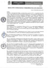 Vista preliminar de documento RAF N° 043-2021