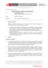 Vista preliminar de documento Informe Técnico IT_1930-2020-SERVIR-GPGSC