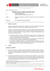 Vista preliminar de documento Informe Técnico IT_1904-2020-SERVIR-GPGSC
