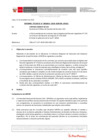 Vista preliminar de documento Informe Técnico IT_1864-2020-SERVIR-GPGSC