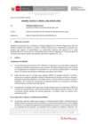 Vista preliminar de documento Informe Técnico IT_1841-2020-SERVIR-GPGSC
