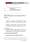 Vista preliminar de documento Informe Técnico IT_1741-2020-SERVIR-GPGSC