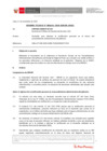 Vista preliminar de documento Informe Técnico IT_1676-2020-SERVIR-GPGSC
