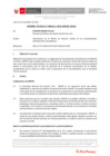 Vista preliminar de documento Informe Técnico IT_1651-2020-SERVIR-GPGSC