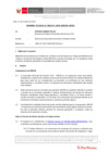 Vista preliminar de documento Informe Técnico IT_1529-2020-SERVIR-GPGSC