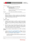 Vista preliminar de documento Informe Técnico IT_1510-2020-SERVIR-GPGSC