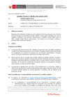 Vista preliminar de documento Informe Técnico IT_1486-2020-SERVIR-GPGSC