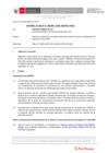 Vista preliminar de documento Informe Técnico IT_1481-2020-SERVIR-GPGSC