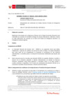 Vista preliminar de documento Informe Técnico IT_1431-2020-SERVIR-GPGSC