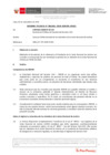 Vista preliminar de documento Informe Técnico IT 1381-2020-SERVIR-GPGSC
