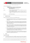 Vista preliminar de documento Informe Técnico IT_1350-2020-SERVIR-GPGSC