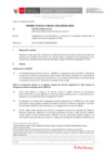 Vista preliminar de documento Informe Técnico IT_1343-2020-SERVIR-GPGSC