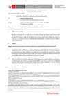 Vista preliminar de documento Informe Técnico IT_1346-2020-SERVIR-GPGSC