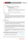 Vista preliminar de documento Informe Técnico IT_1339-2020-SERVIR-GPGSC