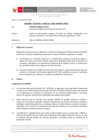 Vista preliminar de documento Informe Técnico IT_1291-2020-SERVIR-GPGSC