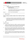 Vista preliminar de documento Informe Técnico IT_1253-2020-SERVIR-GPGSC