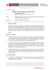 Vista preliminar de documento Informe Técnico IT_1044-2020-SERVIR-GPGSC