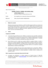 Vista preliminar de documento Informe Técnico IT_0906-2020-SERVIR-GPGSC
