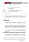 Vista preliminar de documento Informe Técnico IT_0808-2020-SERVIR-GPGSC