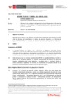 Vista preliminar de documento Informe Técnico IT_0806-2020-SERVIR-GPGSC