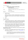 Vista preliminar de documento Informe Técnico IT_0685-2020-SERVIR-GPGSC