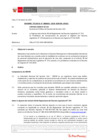 Vista preliminar de documento Informe Técnico IT_0603-2020-SERVIR-GPGSC