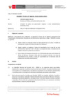 Vista preliminar de documento Informe Técnico IT_0596-2020-SERVIR-GPGSC